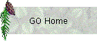 GO Home